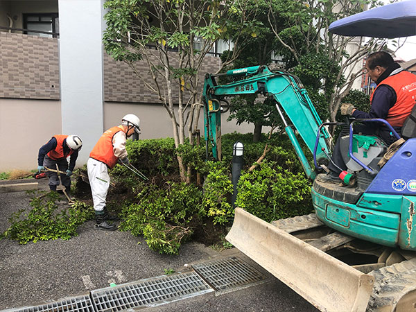 植栽:伐根・伐採